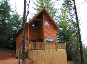 Blue Ridge Parkway Cabin Rentals - Stay 3 get 1 Free