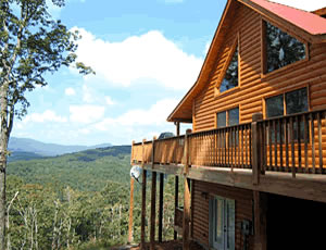 Black Bear Cabin Rentals