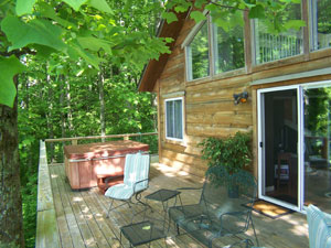 Cabin in Asheville