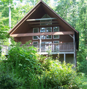 Cabin in Asheville