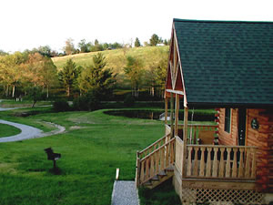 Cabins on Laurel Creek