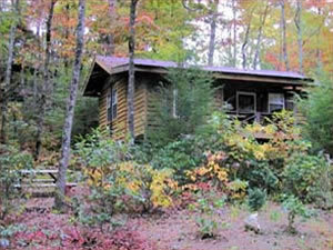 Cabins at Seven Foxes