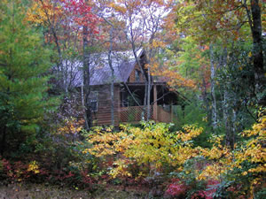 Cabins at Seven Foxes