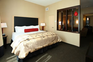 Cambria Suites Roanoke