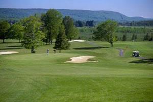 Canaan Valley choose from 2 homes