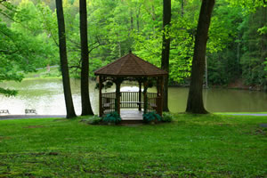 Caney Creek Cabins