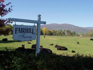Fairhill Farm Country Vacation Rentals Hiking