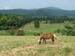 Fairhill Farm Country Vacation Rentals Hiking