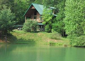 Mountain Paws Cabin Rentals