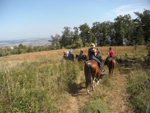 North Mountain Outfitter - Cowboy Camping