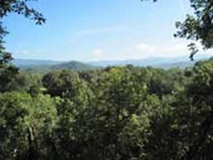 Smoky Mountain Getaway Cabin Rentals