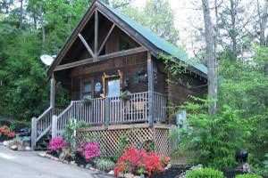 Smoky Ridge Cabin Rentals