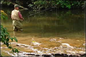 A Luxury River Front Fishing Cottage at Trout House Falls