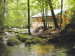 A Cabin, Home and Cottage at Trout House Falls