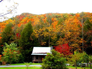 Turnstone Log Cabin Rentals