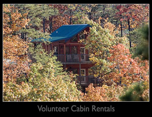Volunteer Cabin Rentals