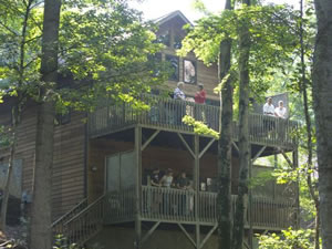 Asheville Cabins of Willow Winds