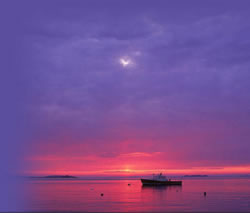 Serenity Cove Sunset