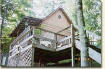 Sweet William - lakefront cabin on Douglas Lake