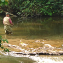 Fly Fishing at "Trout House Falls"
