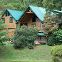 Mountain Paws Cabin Rentals