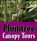 Plumtree Canopy Tours