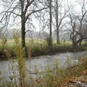 Specializing in Waterfront property in North Georgia