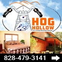 Hog Hollow